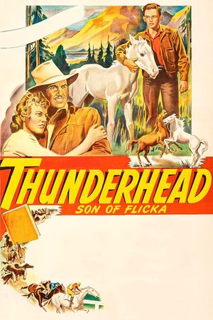 Thunderhead: Son of Flicka's poster