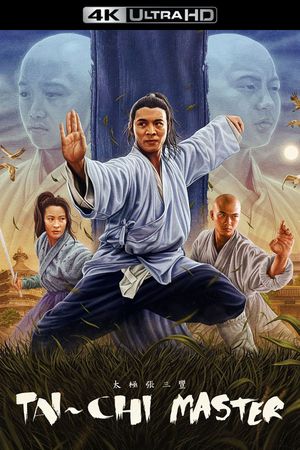 Tai Chi Master's poster