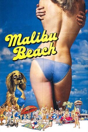 Malibu Beach's poster