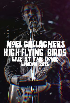 Noel Gallagher's High Flying Birds - Live at The Dome, London's poster