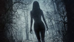 The Witch's poster