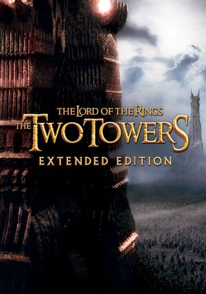 The Lord of the Rings: The Two Towers's poster