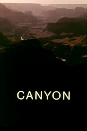 Canyon's poster