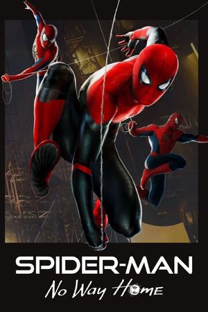 Spider-Man: No Way Home's poster