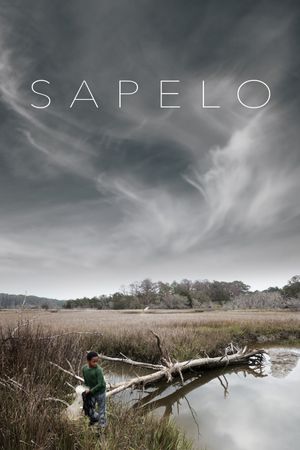 Sapelo's poster