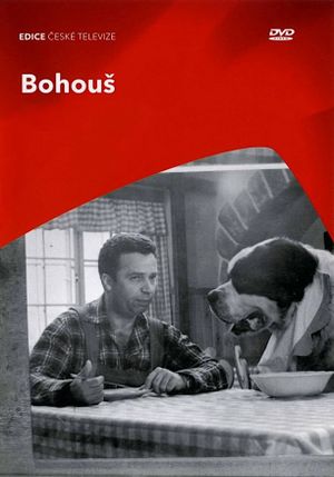 Bohous's poster