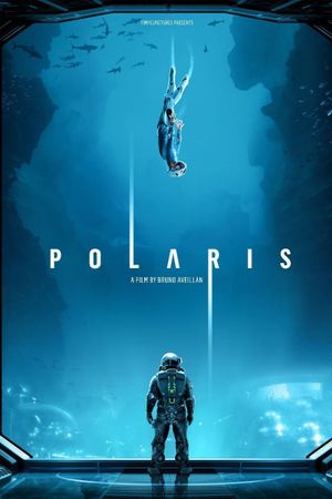 Polaris's poster