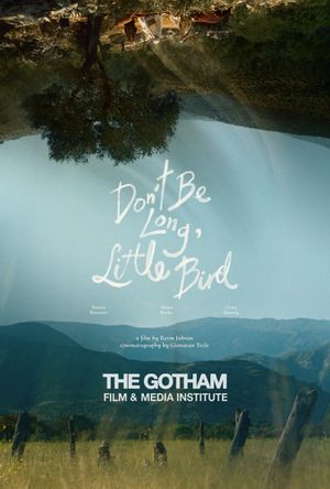Don't Be Long, Little Bird's poster