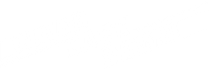 Never Back Down's poster
