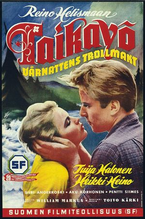 Taikayö's poster