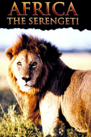 Africa: The Serengeti's poster