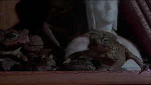 Frogs's poster