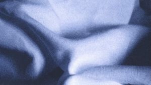 Toccata's poster