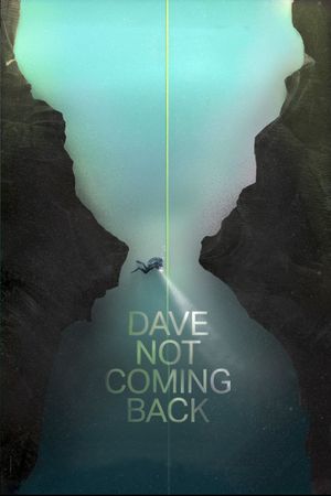 Dave Not Coming Back's poster