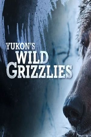 Yukon's Wild Grizzlies's poster