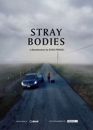 Stray Bodies's poster