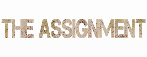 The Assignment's poster