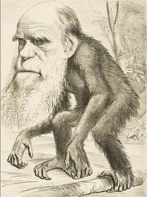 Ce que Darwin ne savait pas encore's poster