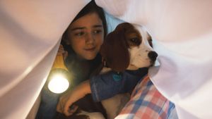 A Dog's Journey's poster