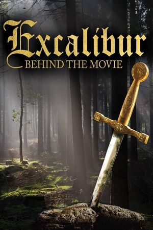 Behind the Sword in the Stone's poster