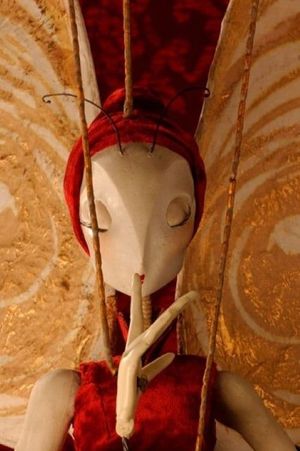 The Butterfly Woman's poster