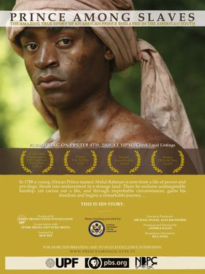 Prince Among Slaves's poster