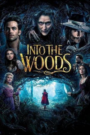 Into the Woods's poster