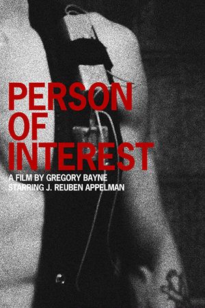 Person of Interest's poster
