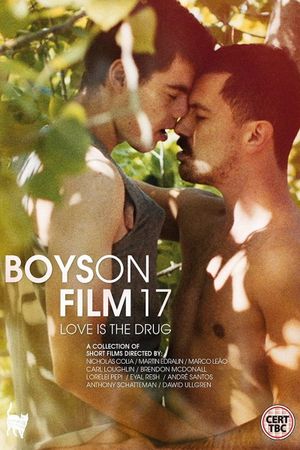 Boys on Film 17: Love Is the Drug's poster