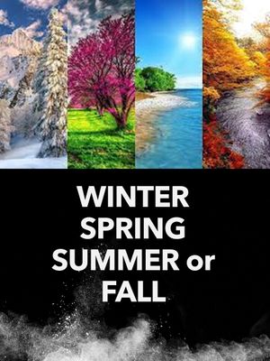 Winter Spring Summer or Fall's poster