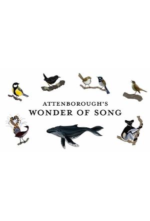 Attenborough's Wonder of Song's poster