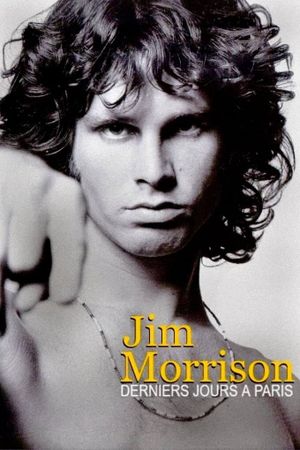 Jim Morrison: The End's poster image