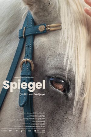 Spiegel's poster image