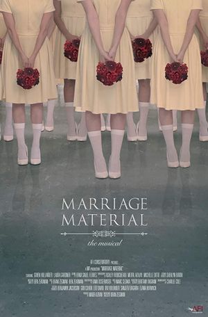 Marriage Material's poster