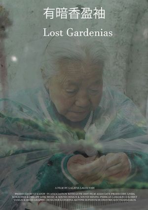 Lost Gardenias's poster