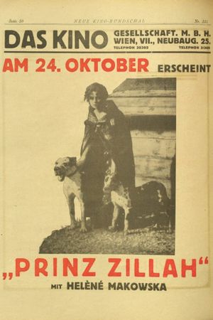 Il principe Zilah's poster