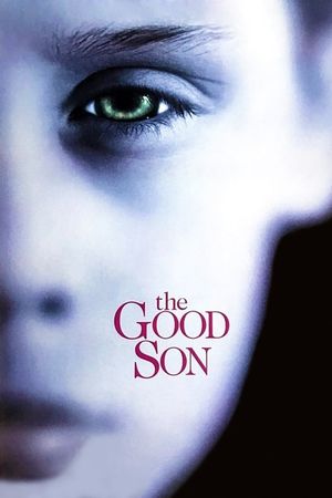 The Good Son's poster