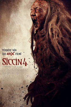 Siccin 4's poster