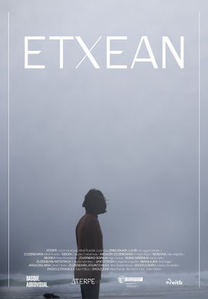 Home's poster