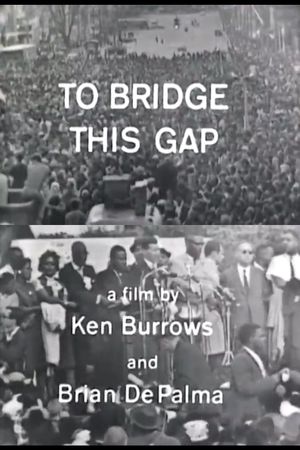 To Bridge This Gap's poster