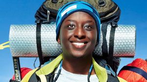 The Climb's poster