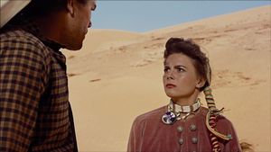The Searchers's poster