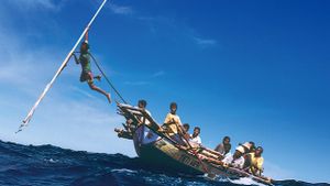 The last whale hunters's poster