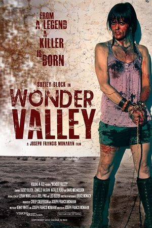 Wonder Valley's poster
