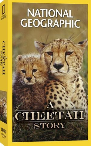 Cheetah Story's poster