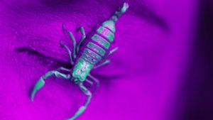 Ultraviolet's poster