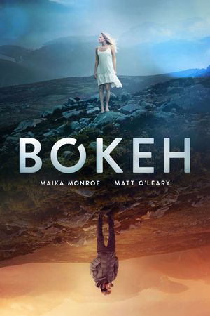 Bokeh's poster