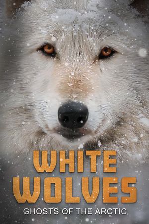 White Wolves: Ghosts of the Arctic's poster