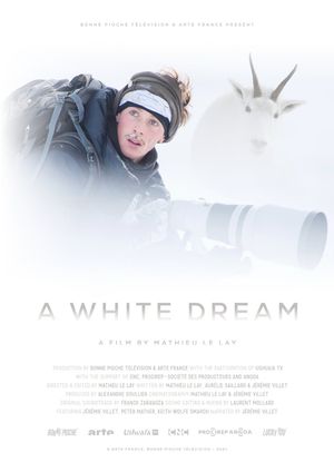 A White Dream's poster