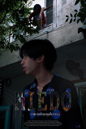 MIEDO's poster image